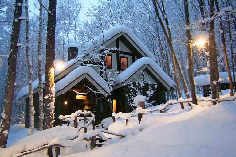 Viva México! 從金字塔到亡靈節—不可思議的墨西哥